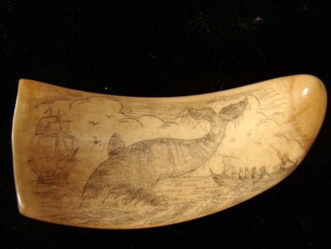 A late 19th or early 20th century Whale's tooth with whaling scene